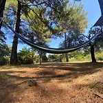 Art.villa.nike Apartman *