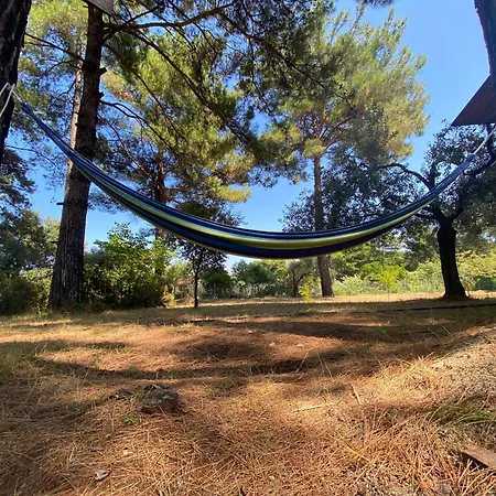 Art.villa.nike Apartament *