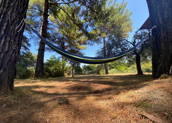 Art.villa.nike Apartment *