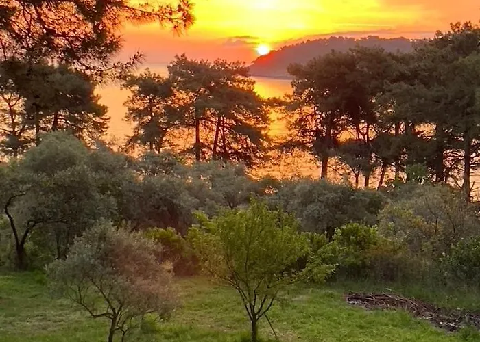 Art.villa.nike Apartment