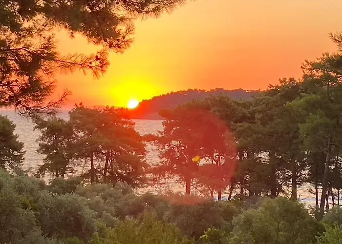 Art.villa.nike Koinira