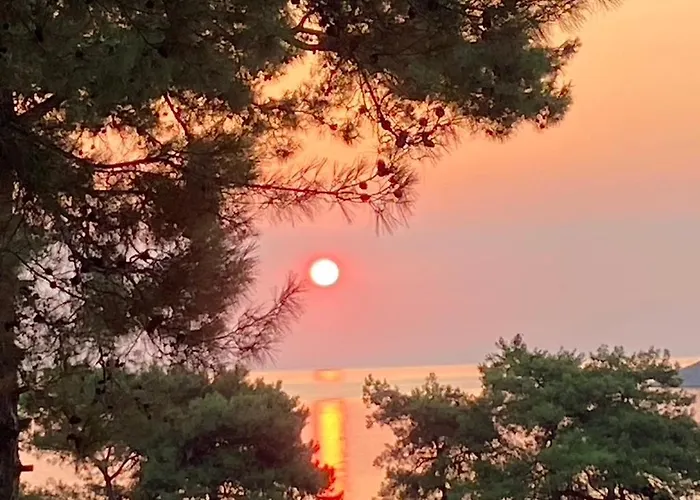 Art.villa.nike * Koinira